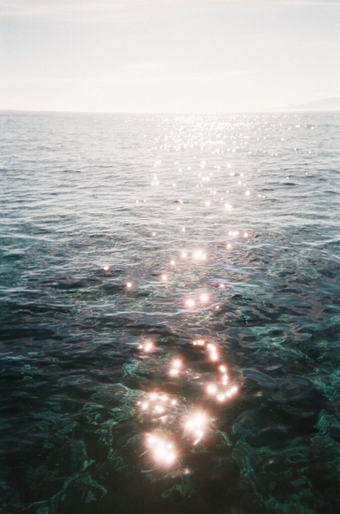 ambermozo - A film photo I took somewhere off the coast of Fiji