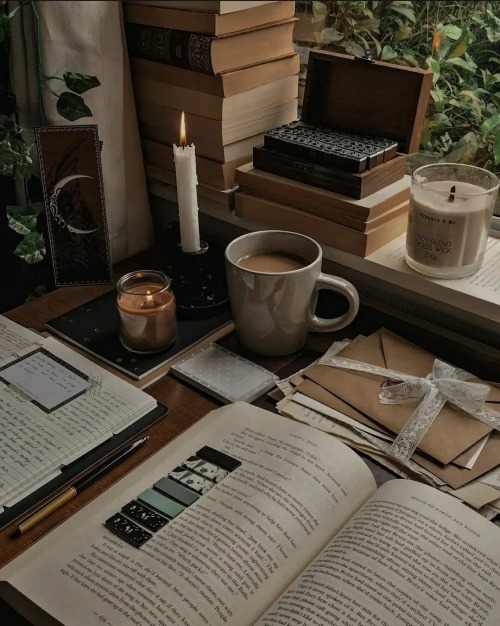 Study Date? || Futa!wonyoung X F!reader