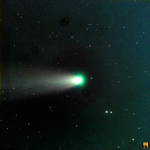 This is Comet Leonard! This beautiful comet is making its closest approach to Earth today, almost a 