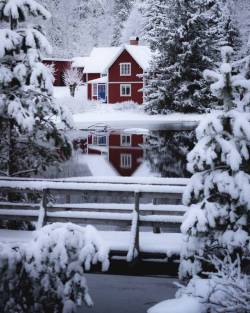 quiet-nymph:Photography © Magnus Dovlind 🇸🇪Sweden   