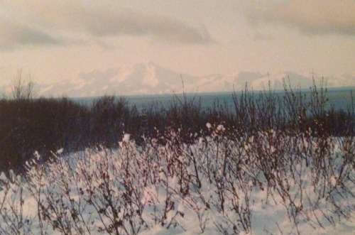  Alaska, 1998 
