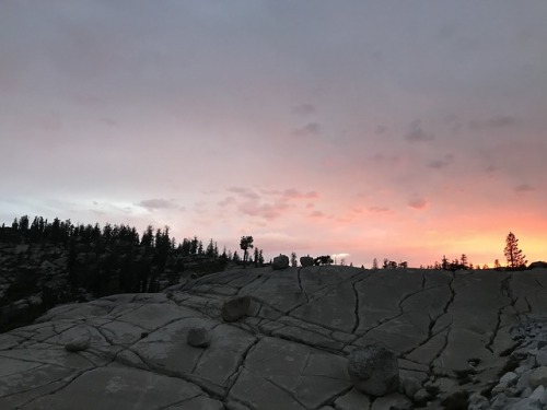 First Yosemite SunsetYosemite National Park, California, July 2018We made it into Yosemite on the se