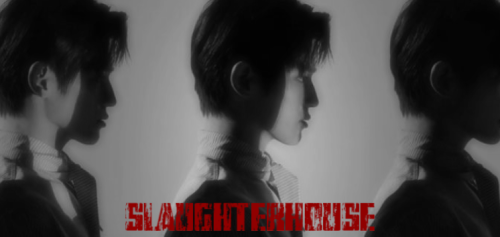 Slaughterhouse | Nct Series