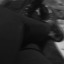 19m8blog