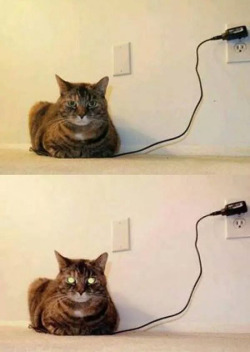 dynastylnoire:  theclearlydope:  Fully charged.  [via]  forever reblog 
