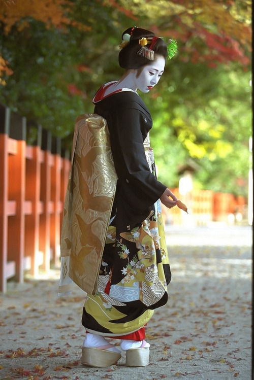 geisha-kai:  Umesato wearing pre-sakkou yakko shimada hairstyle by WATASAN on Flickr