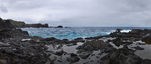 ampnphotography:Tide PoolsMaui