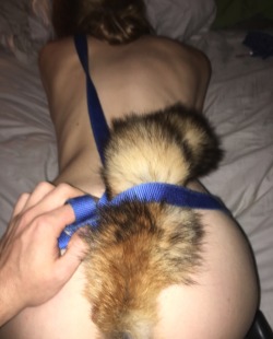 shewoof:  threessxxx-company:  Master says Wolfie has been a naughty little pup and deserves to be taken from behind. 