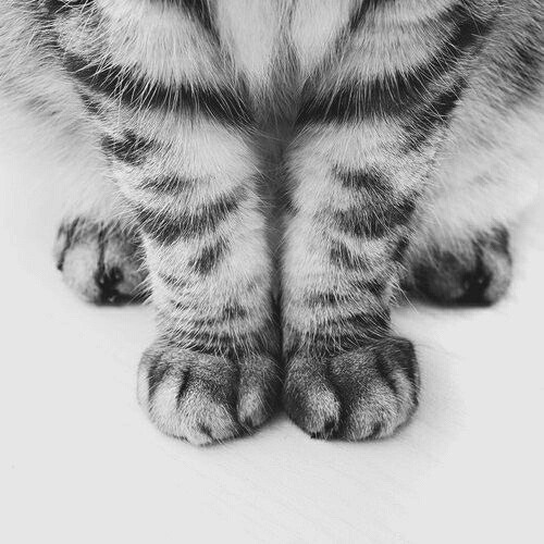 love me