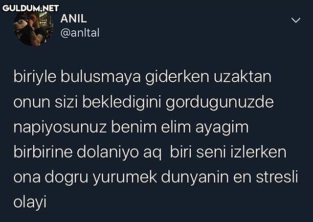 cidden öyle ANIL @anltal...