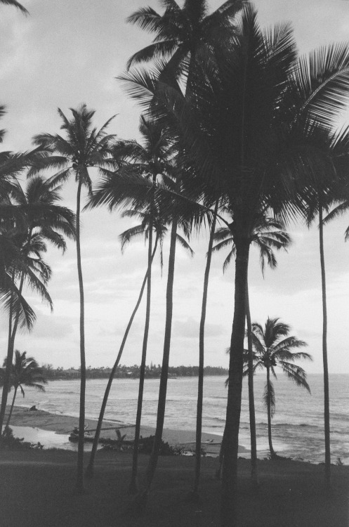 Kauai on film // Instagram / Website