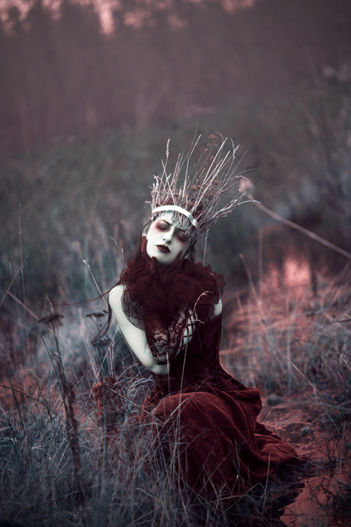 asylum-art:  Maiden Of Ravens: The Dark And Romantic Portraiture Of Sarah BowmanSarah Bowman is a photographer based in Nanaimo, Canada, whose passion for portraiture and surrealist imagery has blossomed into this darkly beautiful series, entitled Maiden