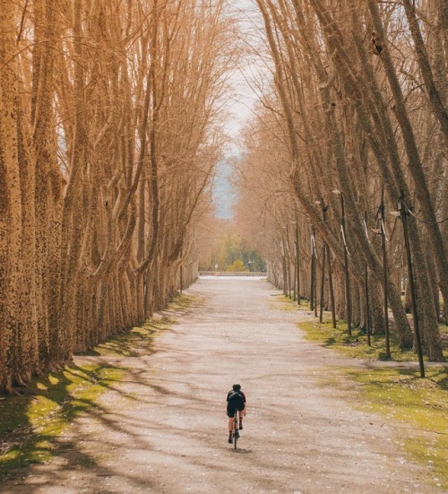 hello-velo: Photo by jbraynardConnect with Hello-Velo on Instagram @tommy_takeiteasy