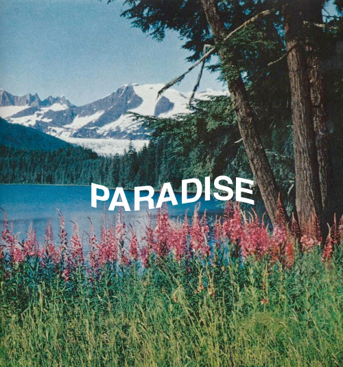 PARADISE // GUY CATLING