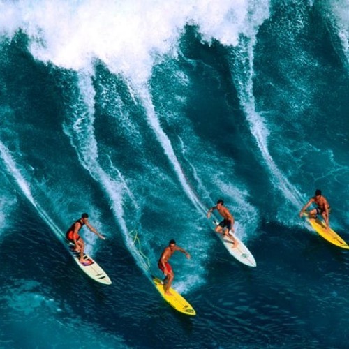 grandboute: Big wave riding