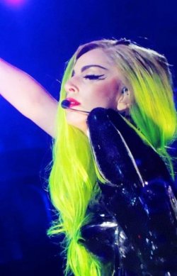 Katy Cat