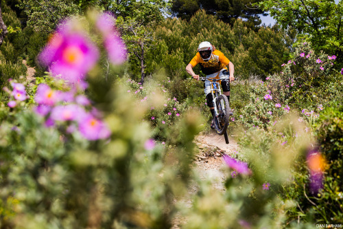 danbarham:  Evan Schwartz doesn’t stop to smell the flowers.