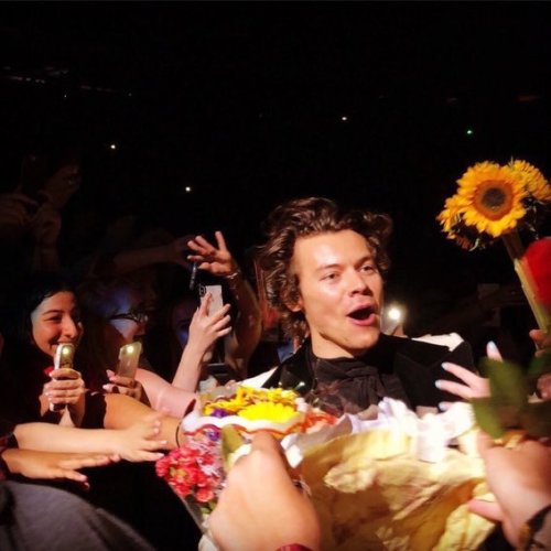 dezzertgurl:Harry Styles with flowers appreciation pictures. You’re welcome.