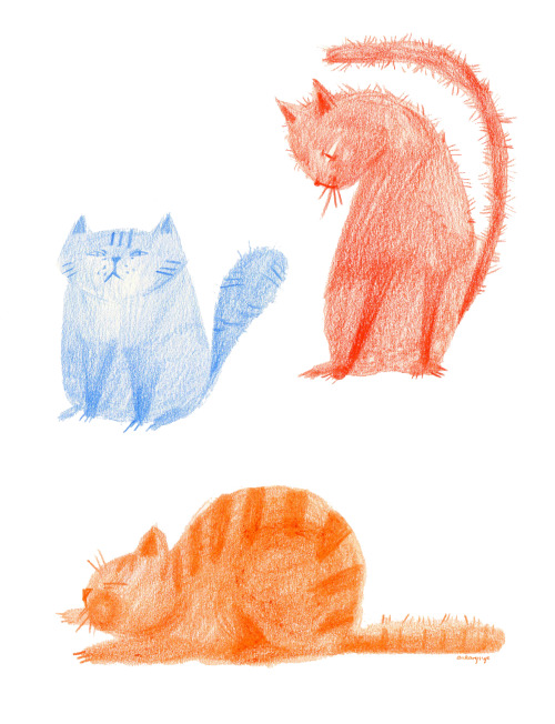 Hello to all my new Followers ;3And here, some cats. Well, I love cats, so there will be more soon ;