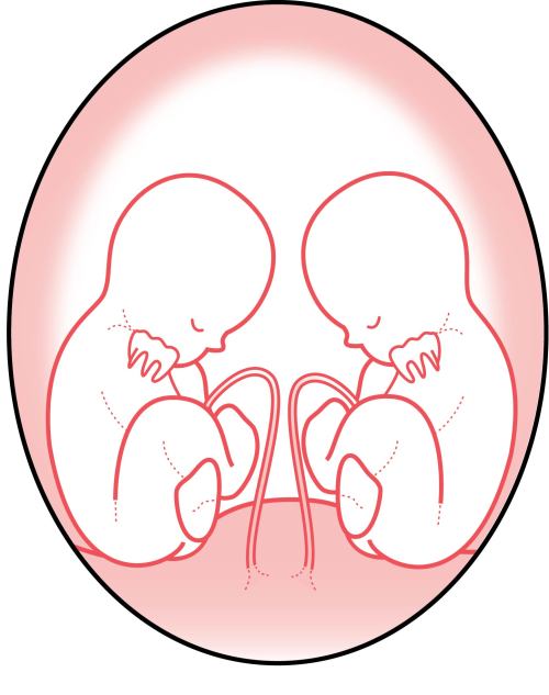 Medical icons of different stages in pregnancy, types of pregnancy, and foot ailments are all found 