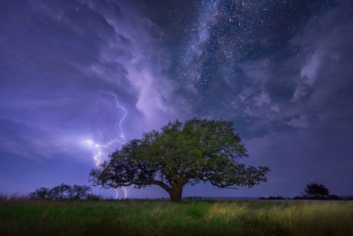 rs37: sixpenceee: These stunning images of starry night skies look so magical that they will leave y