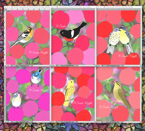 Working on the warblers and roses…