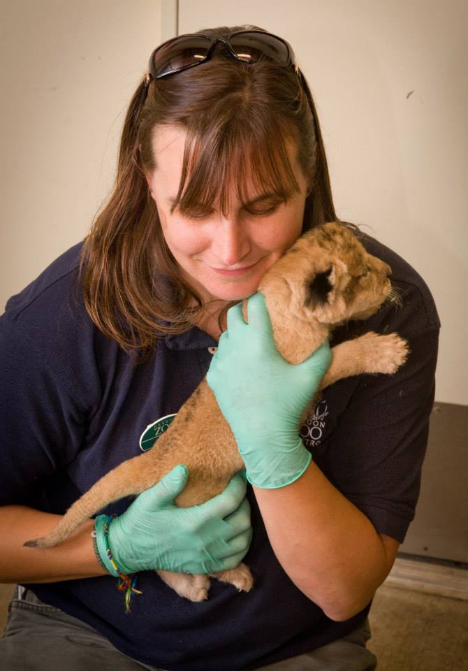 zooborns:  Oregon Zoo’s Lion Pride Grows  Neka, a 6-year-old African lion at the