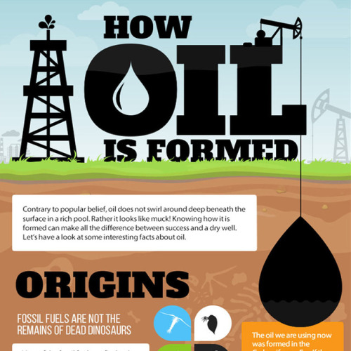  How Oil is Formed - Infographic