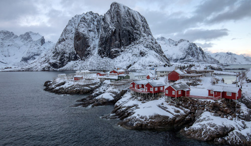 Red Cabins in Lofoten The red sea cabins (rorbu) at Hamnøy outside Reine in Lofoten, Norway.