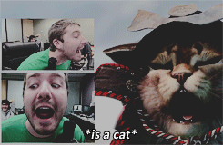 novahdfilms:  kootra: a summary (insp) 