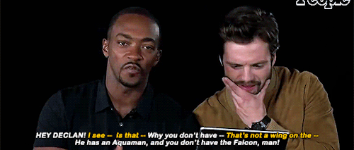 soldat: Sebastian Stan &amp; Anthony Mackie - Kids Interview