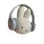 parasoel