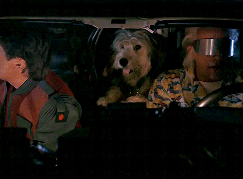 EINSTEIN THE DOG Also Known As THE WORLD'S FIRST TIME TRAVELER