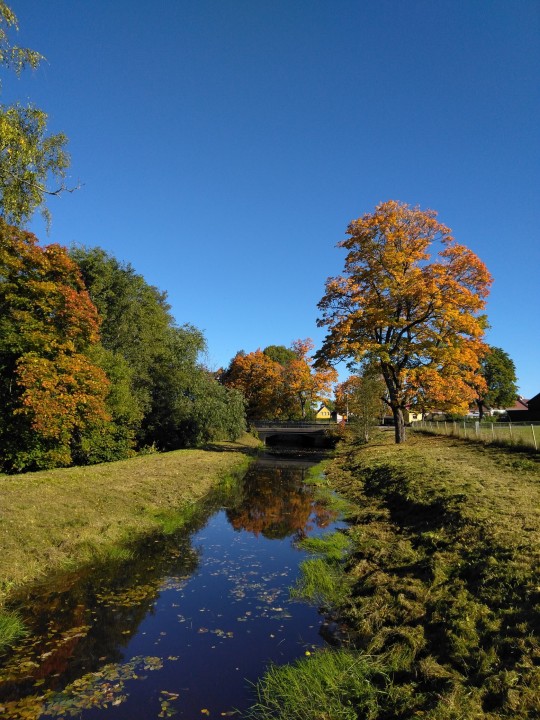 Autumn porn pictures