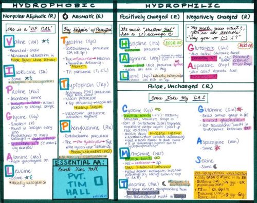 Amino Acid Cheat Sheet and Review 