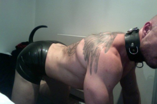 gayfetishperspective:  More Pups.   