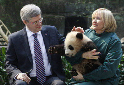 Awkward Harper n’ wife vs. Panda Can’t believe he visited the Pandas instead of the 300 