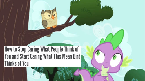 Pony Reductress Headlines
