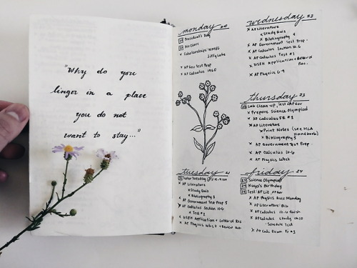 kalachuchigirlstudies:August 25, 2018 | 15:16Why do you always linger in a place you do not want to 