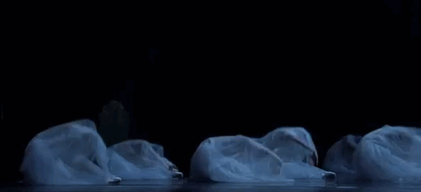 kameliendame:Willis [source]Dancers of the Dutch National Ballet