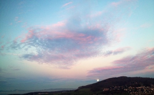 grillfriend:  it gets prettier every time i look 