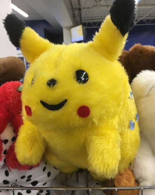 ohmygoodwill: This tailless bootleg Pikachu I found at Goodwill is ridiculously round and I love him