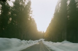 melanieonfilm:  Sunset drivin’ through Yellowstone | April 19th 2014 | Canon AE-1 