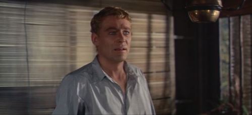 myfavoritepeterotoole: Lord Jim (1965) directed by Richard Brooks Peter O'Toole as Lord Jim