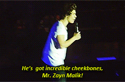 :  Endless List of Favorite Zarry Moments: Zayn & Harry compliments on each other’s physical features. 