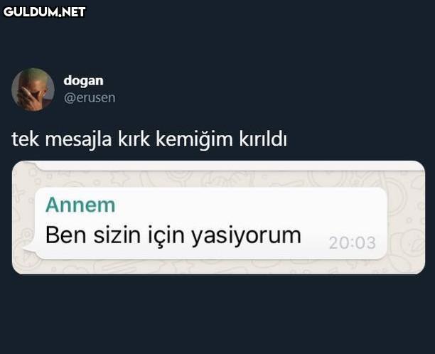 dogan @erusen tek mesajla...