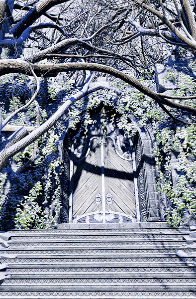 gamerism:ALTALTALTALTALTALTALTALTDRAGON AGE INQUISITION: EMPRISE DU LION - SULEDIN
