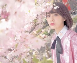 hunter934:  Miyawaki Sakura under Sakura