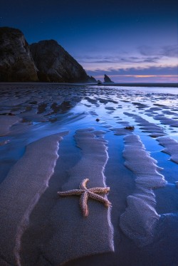  The Muses of Sintra by Franklin Neto 