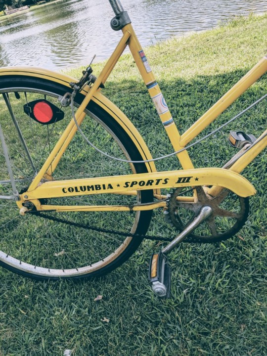 haiikyo:  lots of yellow on my bike ride this morning 🌻